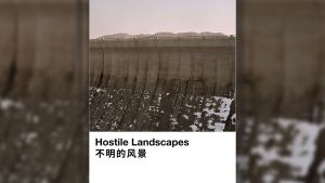 Hostile Landscapes: A Conversation with Zhang Hanwen