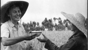 Rethinking Comrade and Foreigner