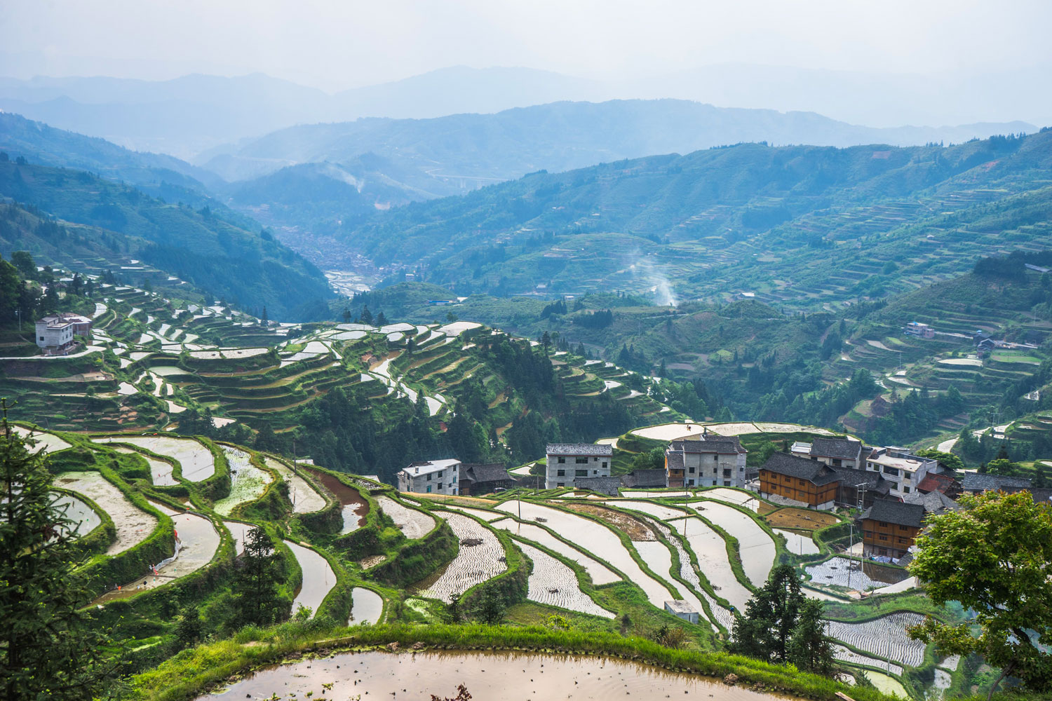 China’s Urban Question: The Other Side of the Agrarian Question