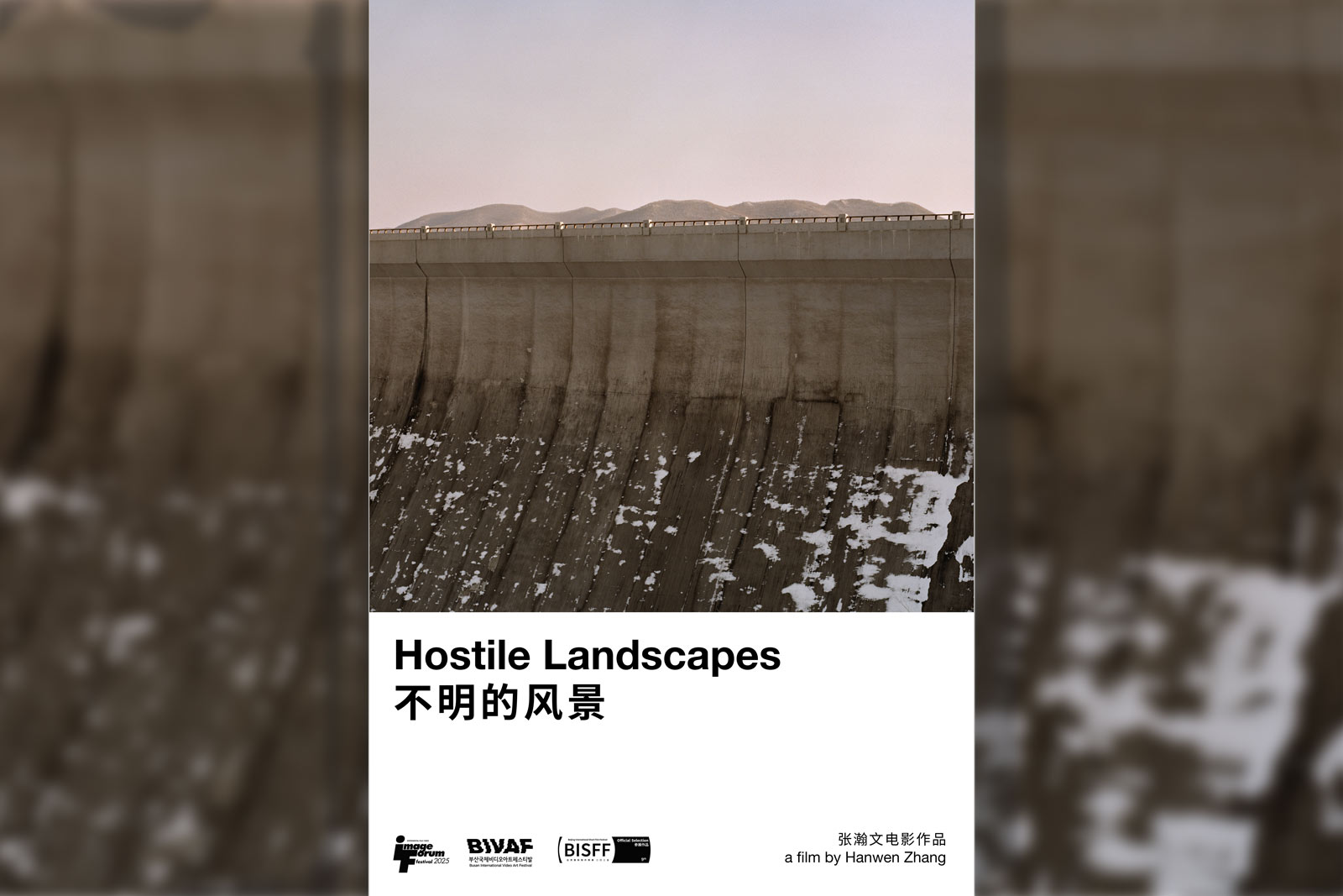 Hostile Landscapes: A Conversation with Zhang Hanwen